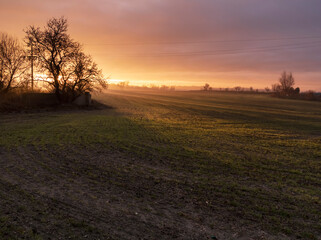 Obraz premium Amanecer en el campo de Pinto. Madrid. España. Europa.
