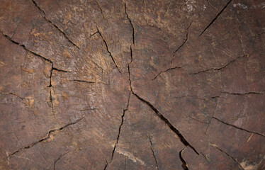 rough weathered old ancient texture of brown wood surface with cracks