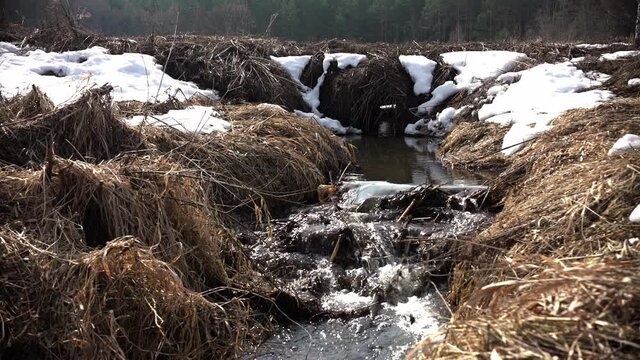 In winter, a stream flows