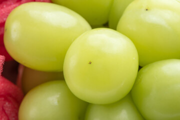 Beautiful boxed Shine Muscat green grape isolated on white background.
