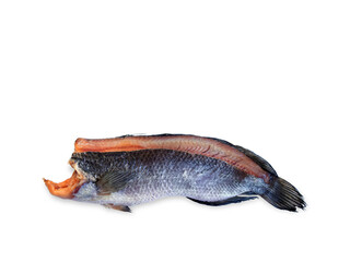 Sun dried snakehead, Salted fish isolated on white background with copy space, Preserving food that can be stored for a long time.