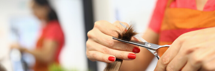 Hairdresser holds scissors and hair tips in his hands. Beauty salon services concept