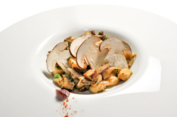 Gnocchi with porcino mushroom sauce in white plate with beautiful sectional slices of mushrooms