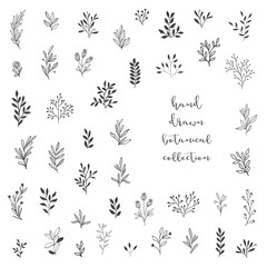 Big vector collection of floral elements. Botanical illustration. Floral icons set.