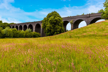 Fototapeta premium A view across the long grass towards the viaduct near Catesby, Warwickshire, UK