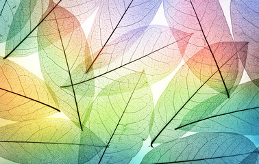 Naklejka na ściany i meble Multicolored leaves background texture, macro shot. Transparent skeletal leaves. Beautiful natural background..