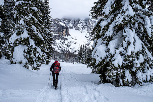 Trentino, escursione con le ciaspole