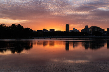 大濠公園　雲のある夕景