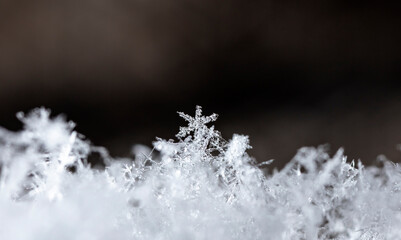 snapshot of a small snowflake taken during a snowfall