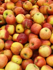 set of ripe apples close up