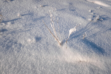 white snow drifts winter landscape