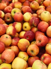 set of ripe apples close up