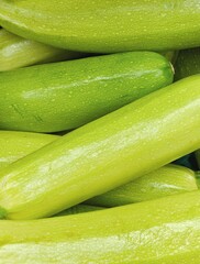 green zucchini for sale in supermarket 
