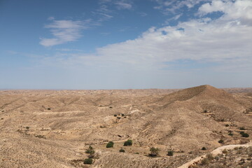 landscape in the desert