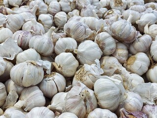 set of garlic top view for food patterns