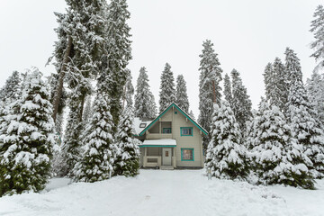 Wooden cabin in the winter forest with fir-trees covered with snow.