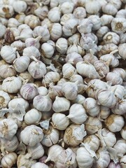 set of garlic top view for food patterns