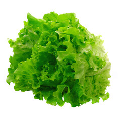 fresh green salad on white isolated background close up