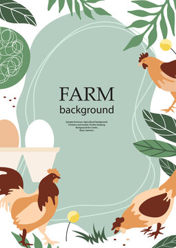 Sample brochure. Agricultural background. Chickens and rooster. Poultry keeping.