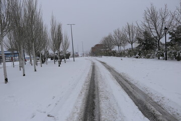 Nieve