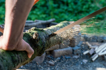 Sawing wood motion pictures