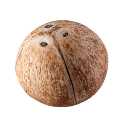 Coconut half and piece isolated on the white background.