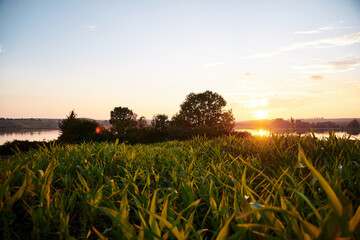 Beautiful sunset view with bright green grass and blue sky. Rural scene. Ecological protection and eco tourism concept. Natural landscape. Isolation in countryside.