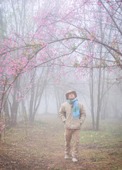 Portrait of handsome man relaxing looking cherry blossom (sakura flowers) in morning. Spring mood. spring holiday.