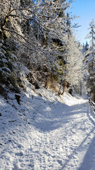 Neuschnee in Schladming