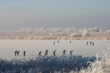 Oostvaardersplassen Netherlands, Oostvaardersplassen Nederland