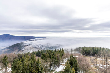 The tops of the hills during a sunny afternoon covered with thick fog which passes between the treetops in the background of blue sky.