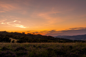 Field where grass grows overlooking the surrounding hills and treetops during sunset on an orange horizon overlooking the landscape and nature.