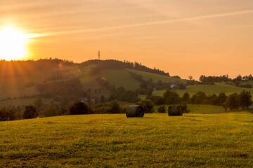 Agricultural machinery tractor driving through a field and collecting bales of chopped hay on a hull during sunset over the horizon.