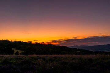 Obraz premium Field where grass grows overlooking the surrounding hills and treetops during sunset on an orange horizon overlooking the landscape and nature.
