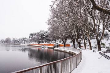 Lake in the “Casa de Campo” park in Madrid, with a railing and trees around it. All covered by snow and a falle tree, during “Filomena” storm.