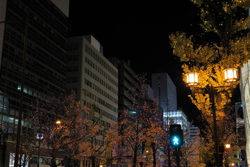 Fototapeta premium 難波 大阪 日本