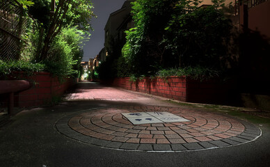 Night view of an empty brick pedestrian walkway, lined with plants and intermittent street lights