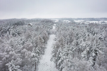 Aerial winter landscape with snowy forest. Poland