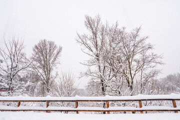 Snow covered landscape with wooden fence and trees in the “Casa de Campo” park in Madrid. Snowing during “Filomena” storm. 