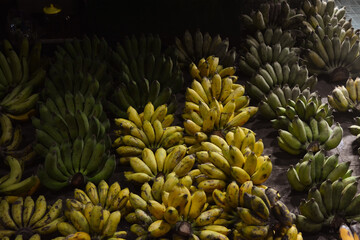 various types of bananas are sold in traditional markets in Indonesia