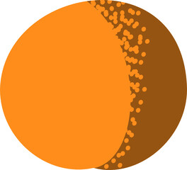 Orange fruit illustrative vector graphic icon or clipart svg isolated
