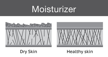 Moisturizer, dry skin and healthy skin, vector design.