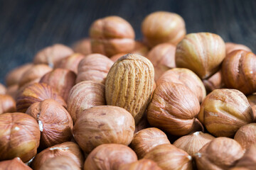 hazelnuts that are used for food