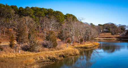 Winter Forest and Pond Landscape on Bright Sunny Day