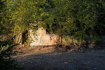 Demolition of a building in Halle Saale