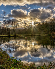 Obraz premium Teich Im Klosterforst Loccum in der Abendsonne im Jannuar 2021