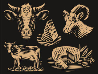 Fototapeta na wymiar Set of black and white illustrations for cheese theme in engraving style, this set includes such illustrations as cows, goats and different pieces of cheese.