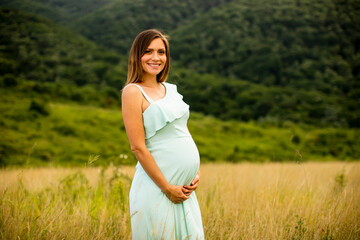 Fototapeta na wymiar Young pregnant woman relaxing outside in nature