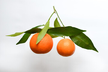 Fresh orange tangerine with green leaves flying in the air isolated on white background. Food levitation concept. Healthy food, ripe fruits, citrus fruits.Copy space