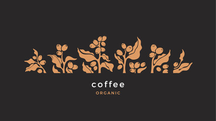 Coffee branch. Vector arabica beans. Tropical tree